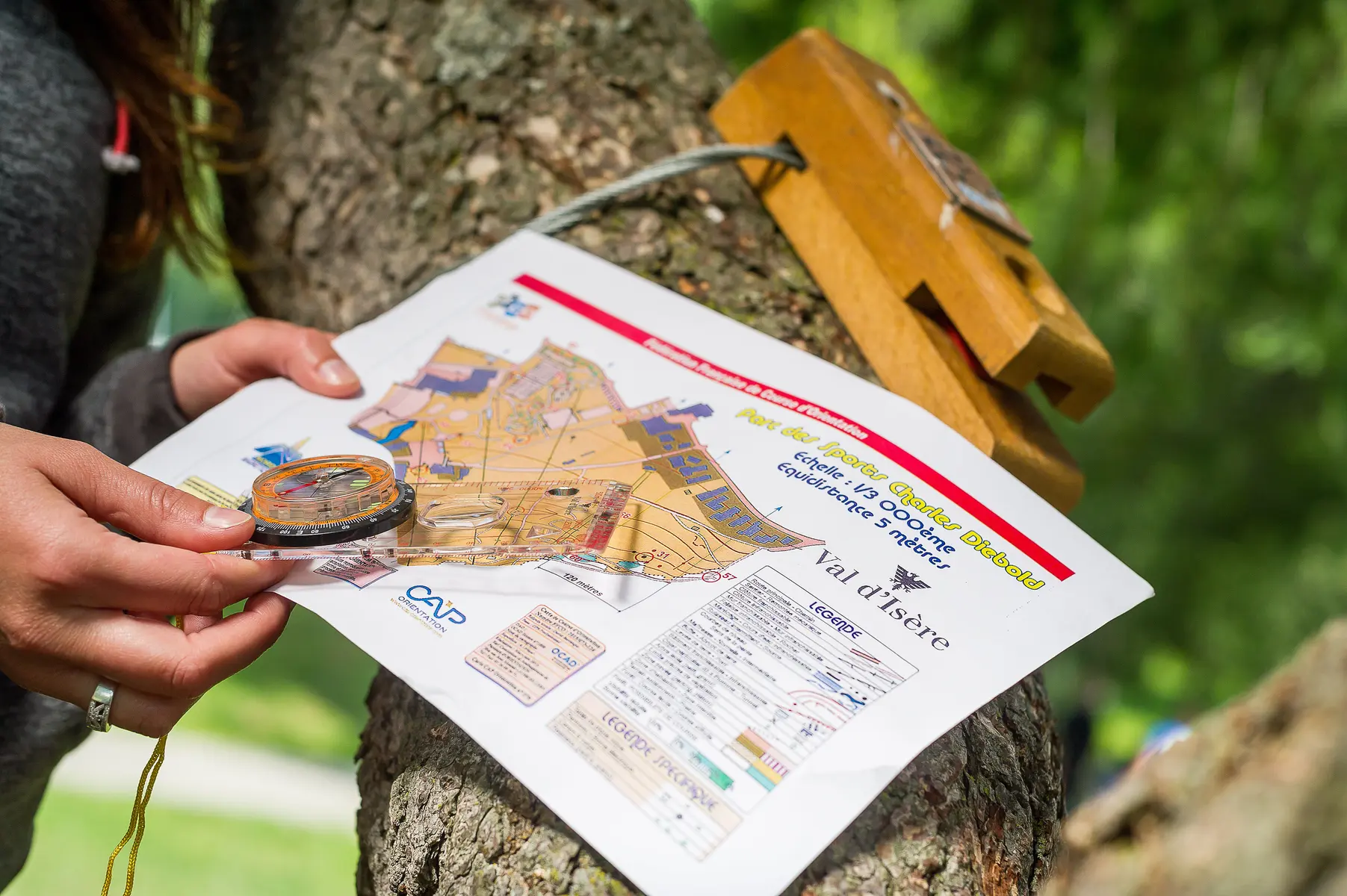 Carte de course d'orientation