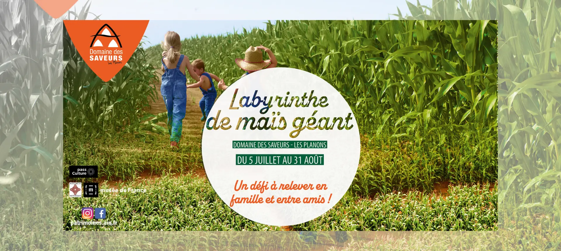 Affiche le Labyrinthe de maïs