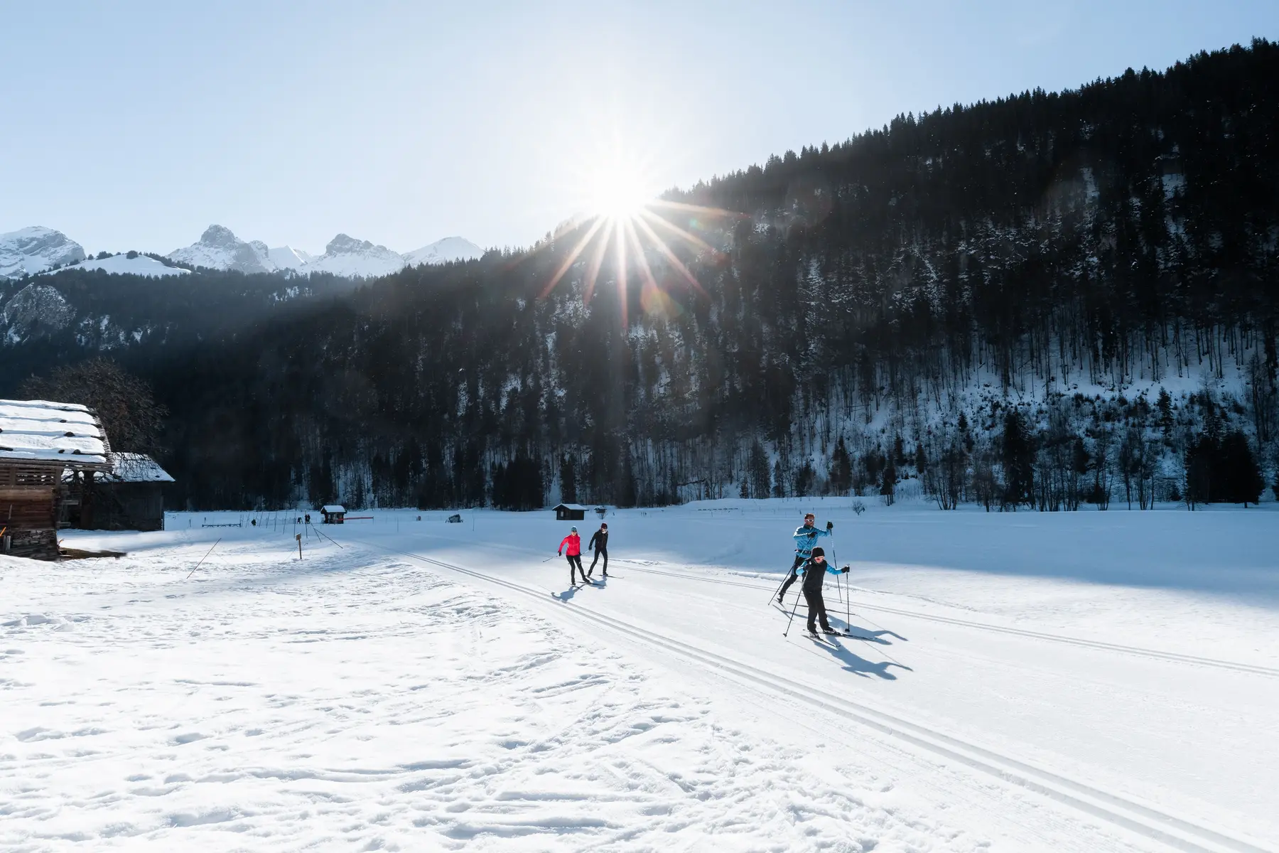 photo de skieurs nordiques sur les pistes