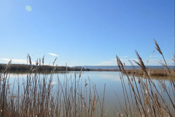 Marignane : Randonnée Nature La Petite Camargue
