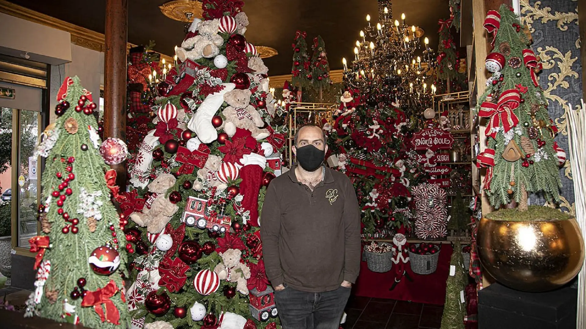 Sapins de noël chez le fleuriste Stanislas Ducreux