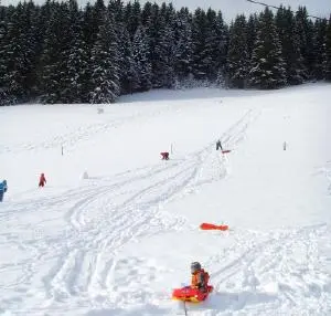 Piste de luge