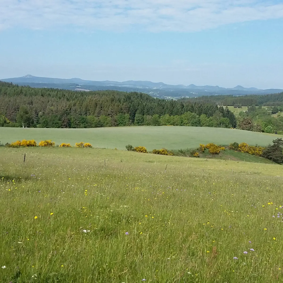 Vue sur les sucs depuis le Mas-de-Tence