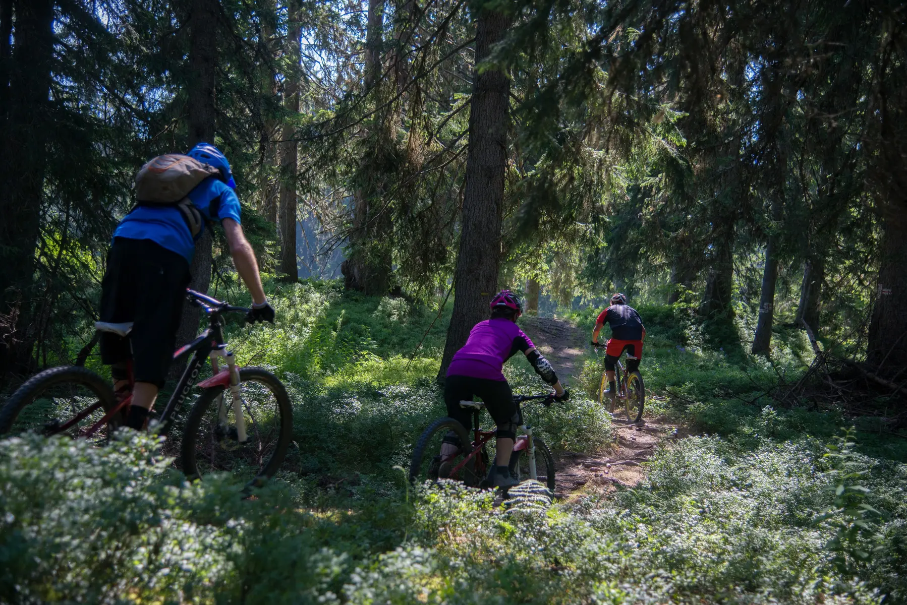 Enduro en Beaufortain : l'Adret'Naline