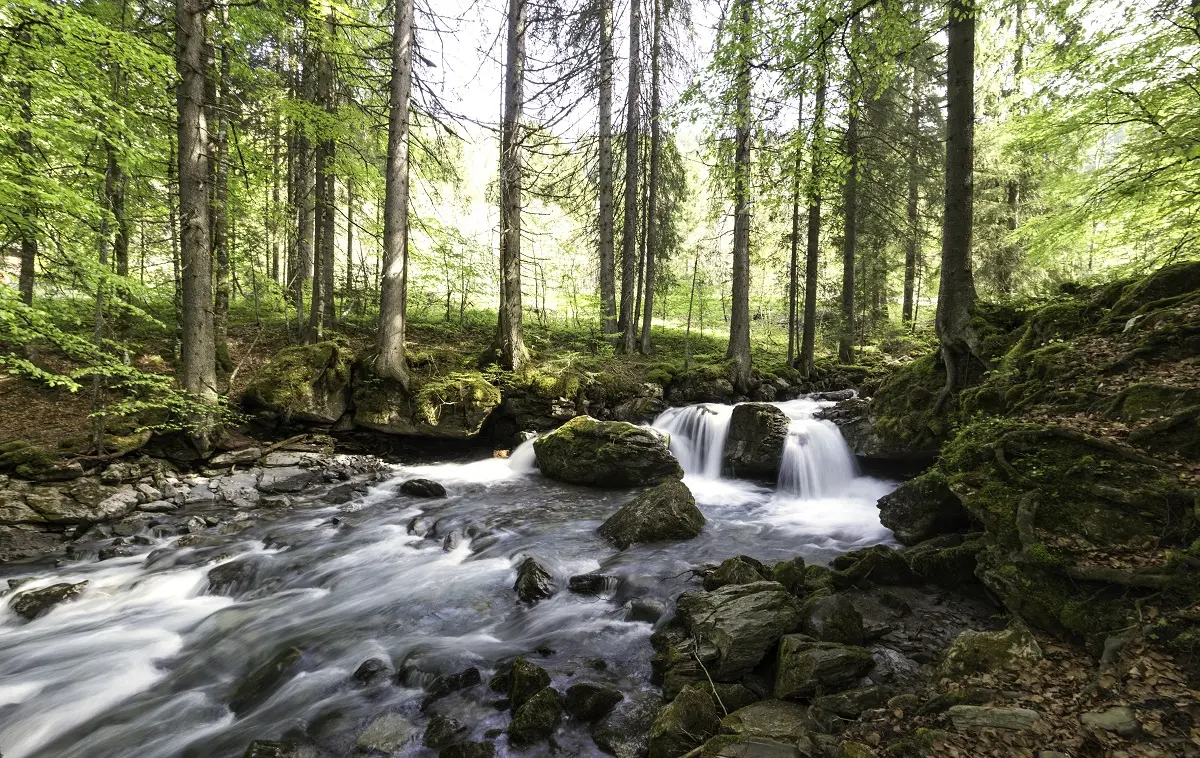 Cascade de la rivière d'Ardent