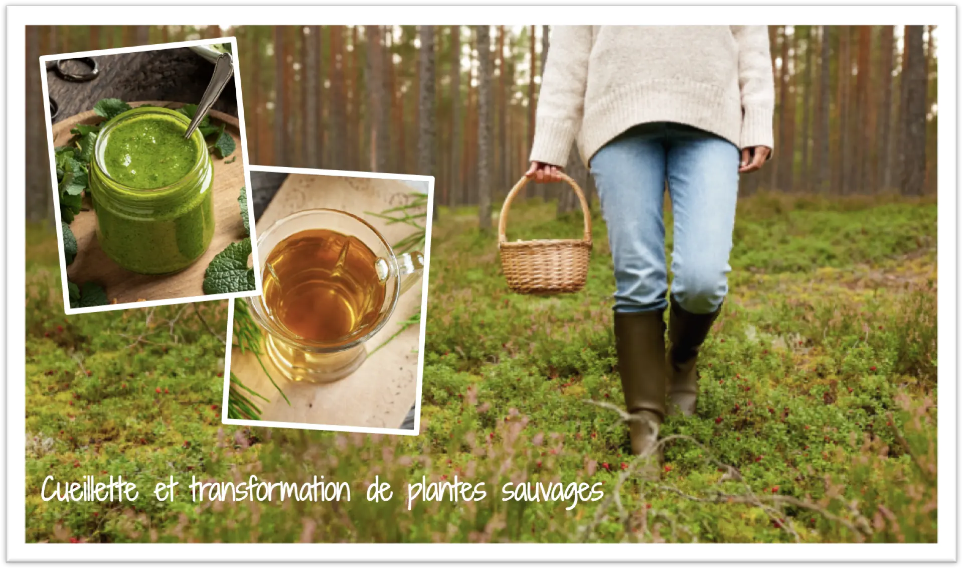 atelier plante transformée