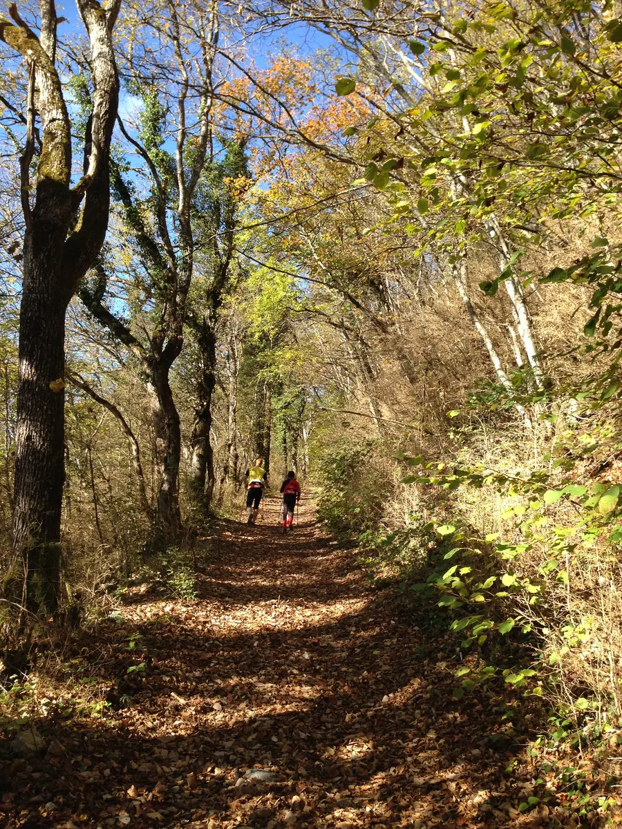 Sentier de Parnaud au départ de Chavornay