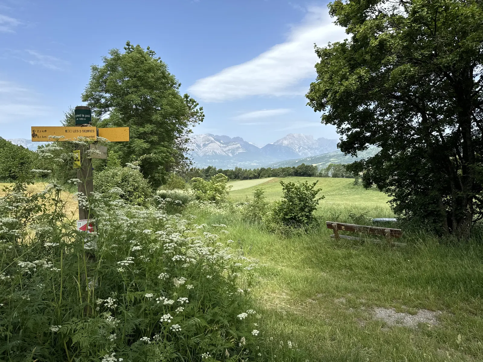 Sur le chemin du Bois du Priou, lieu-dit Le Pied la poa
