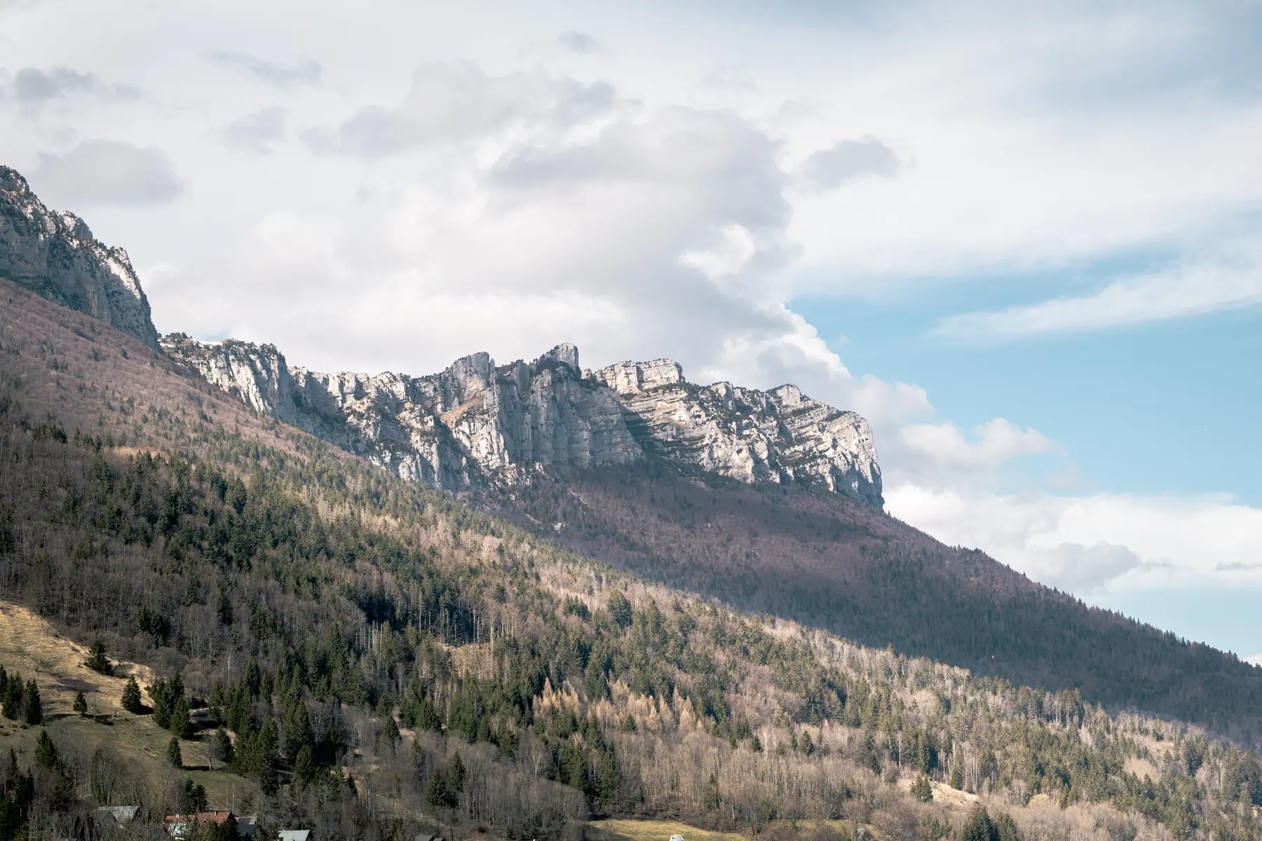 PNR Chartreuse