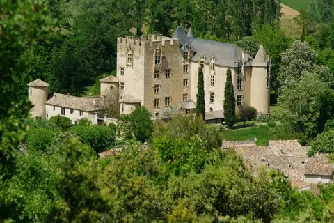 Chateau d'Allemagne en Provence