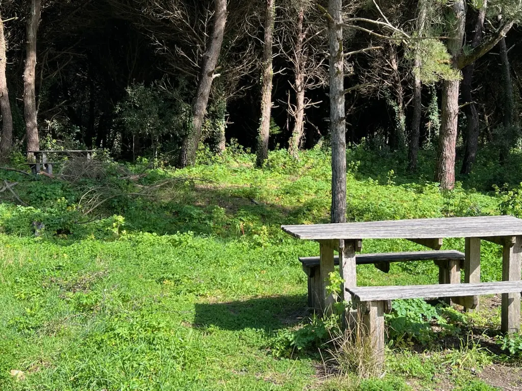 Picknickplatz im Wald von Combe à l'Eau