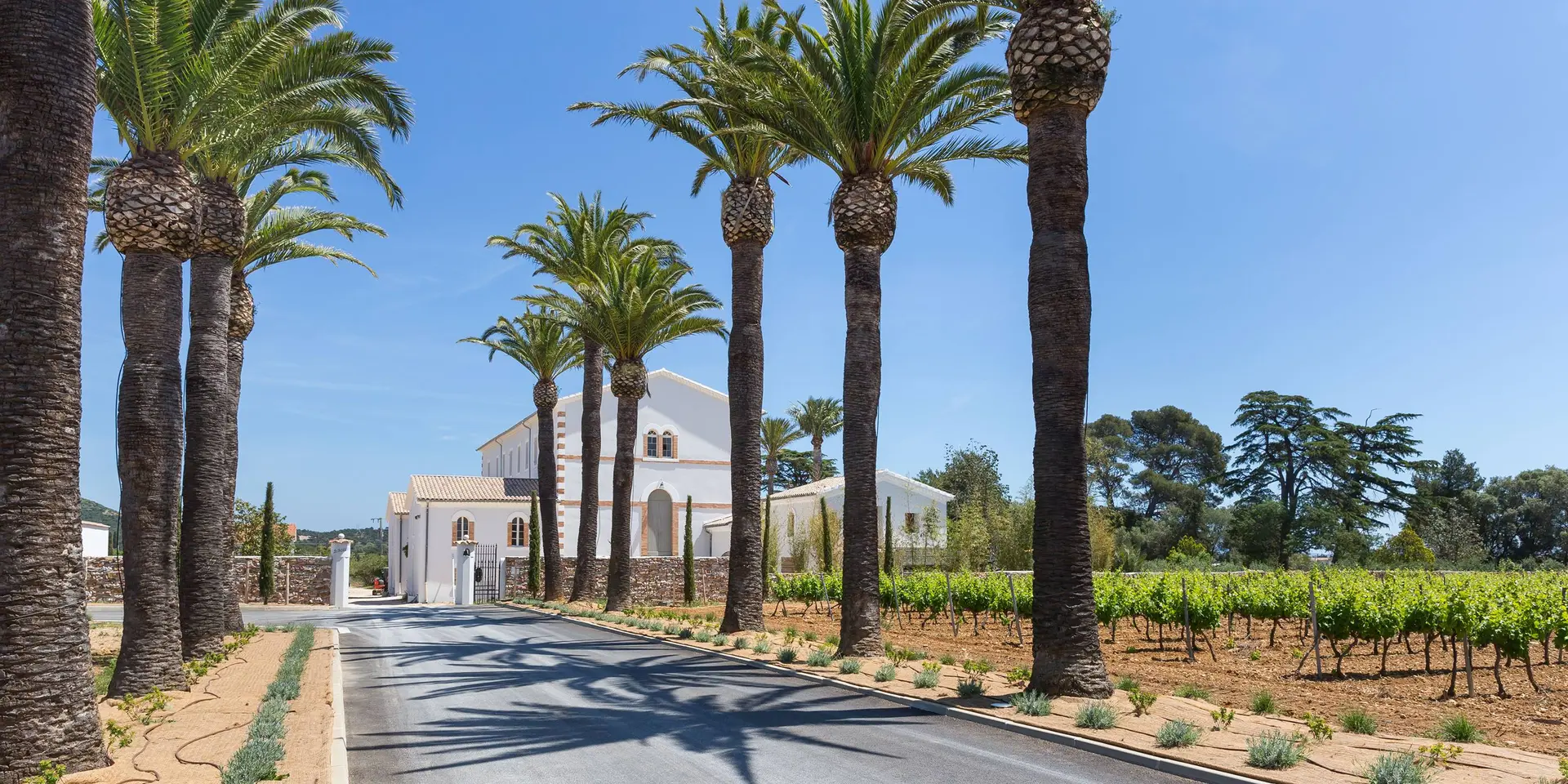 Production d'huile d'Olive Château Le Bastidon à La Londe les Maures