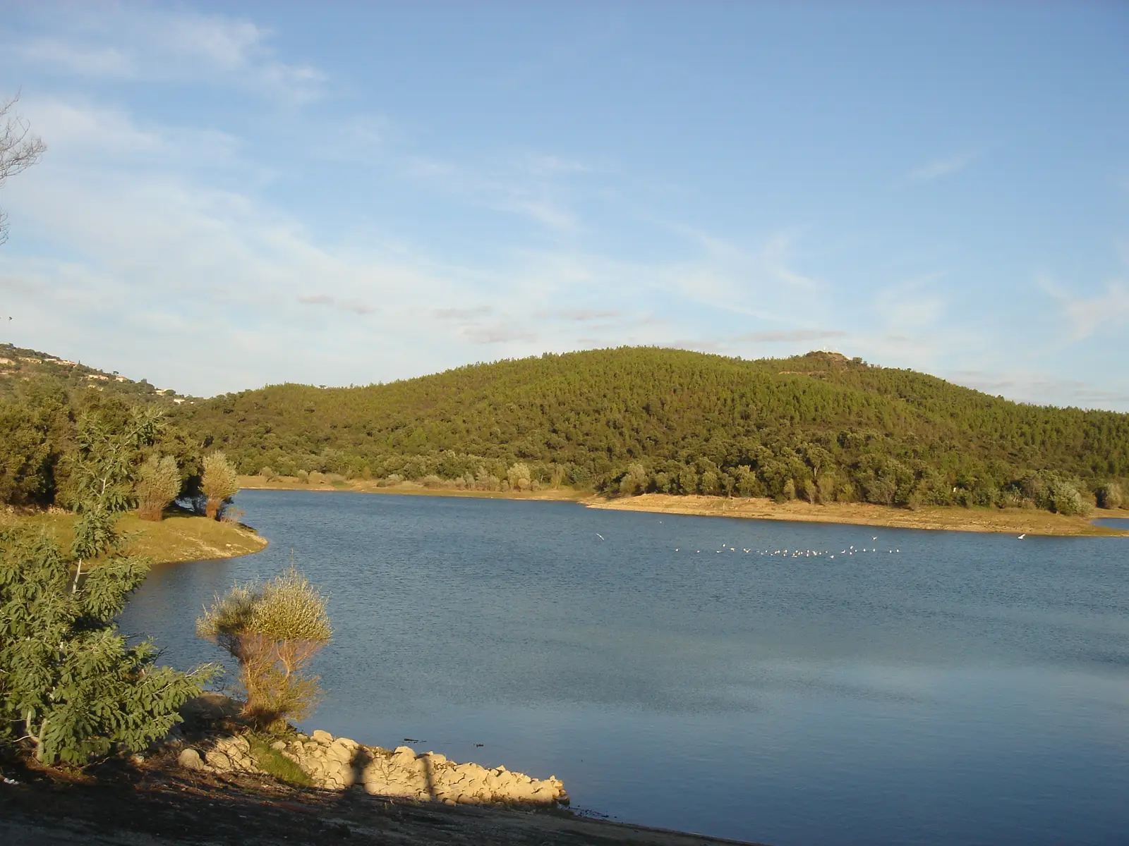 Barrage du Trapan - Bormes-les-Mimosas