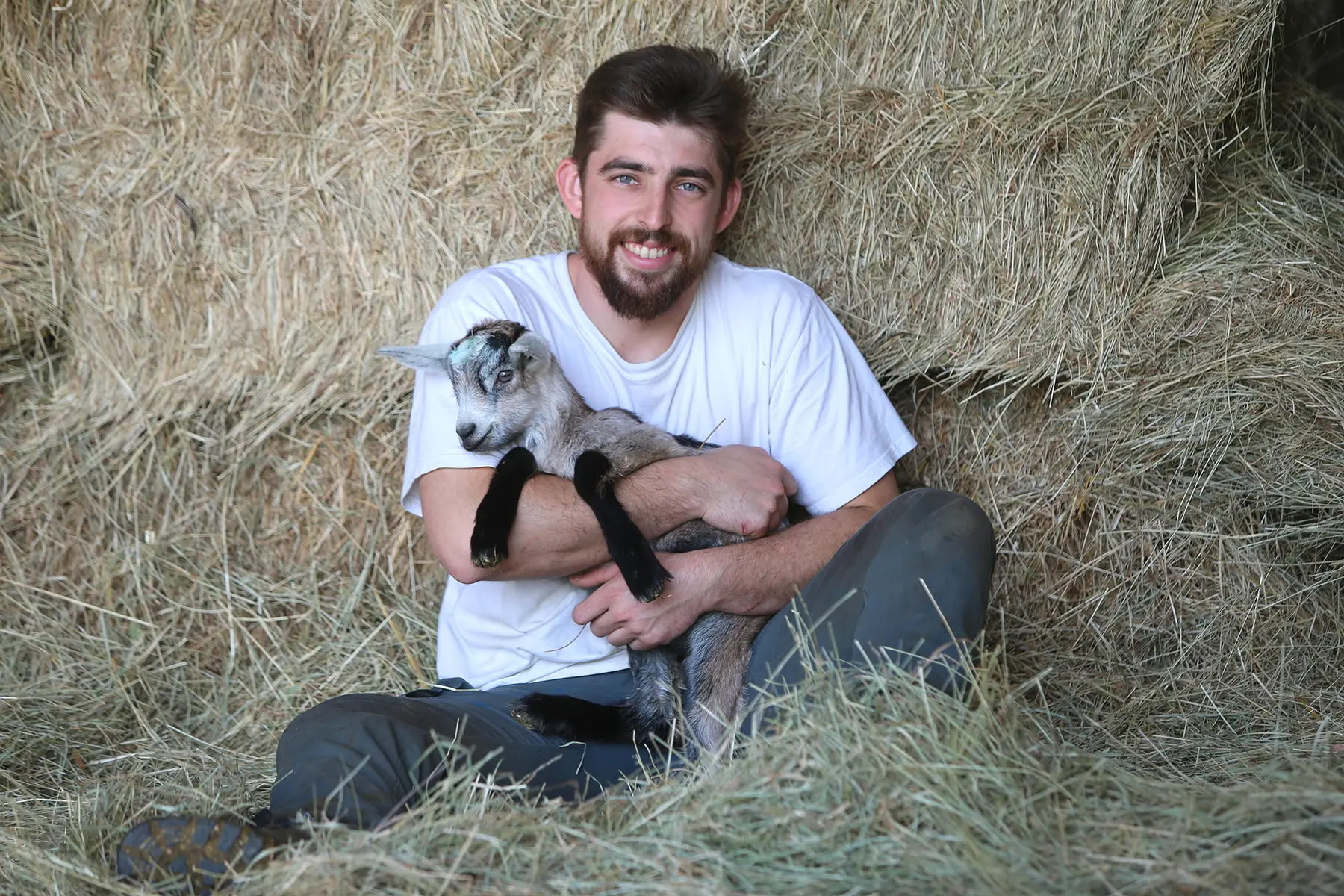 Fromagerie Le P'tit Milou