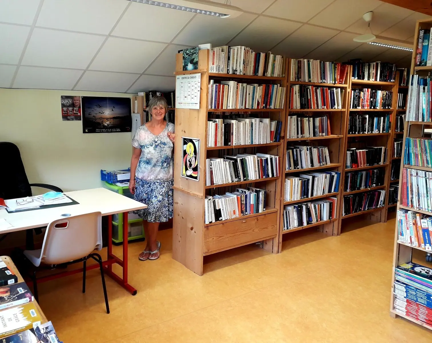Bibliothèque à Vacheresse