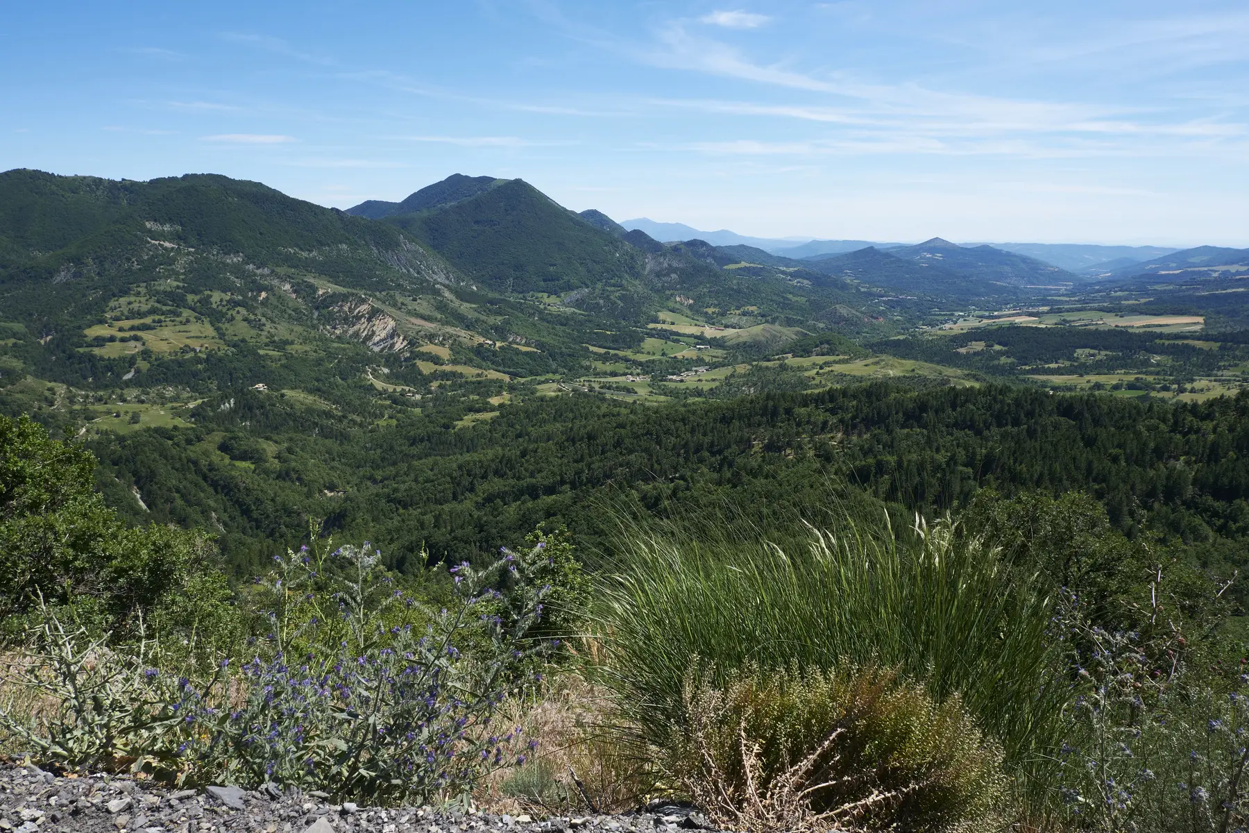 Montée du Col de l'Hysope par Thoard