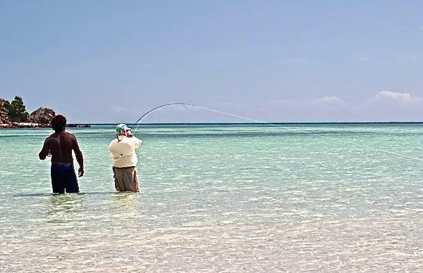 Coup de pêche