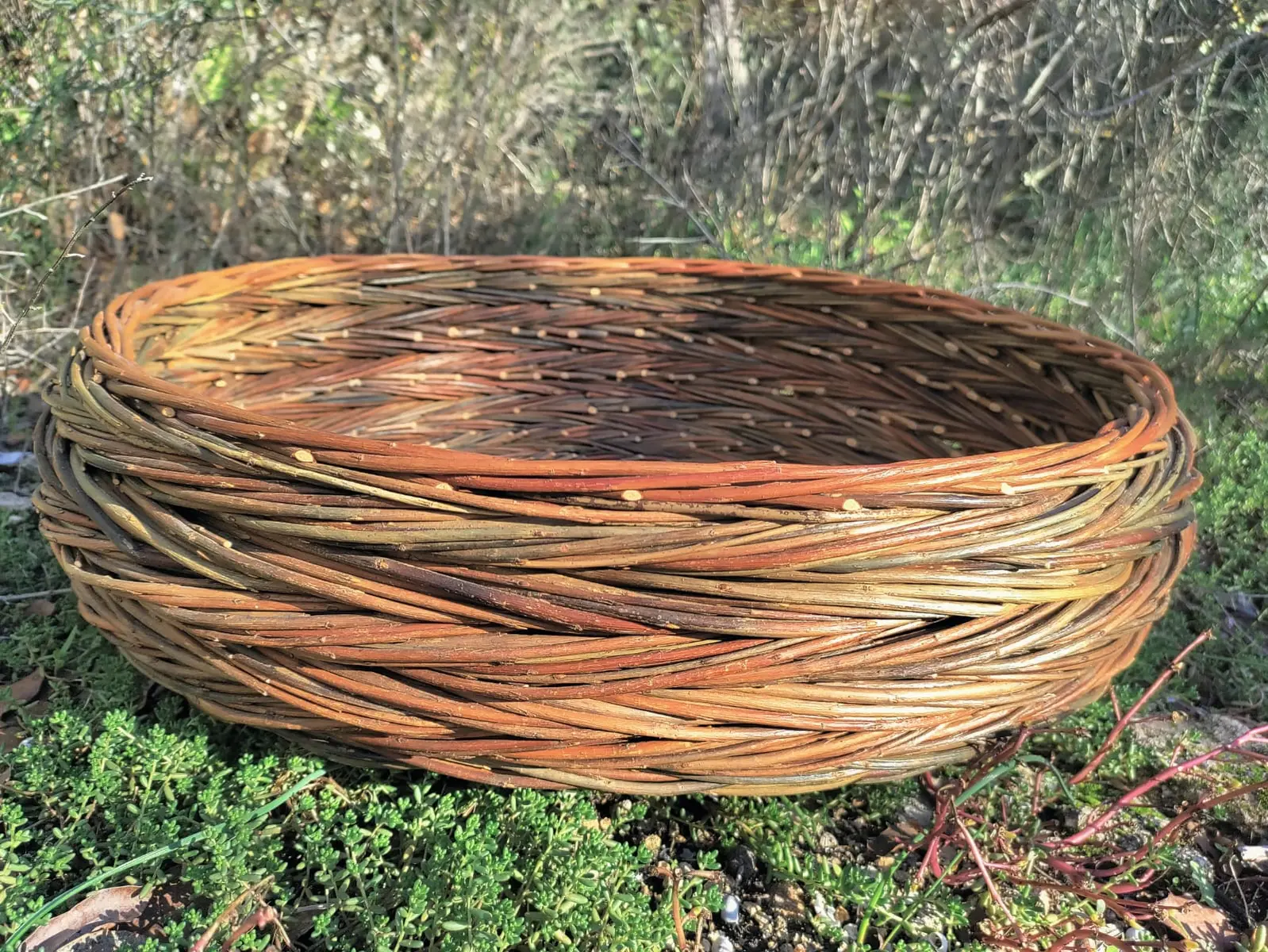 Atelier de vannerie grande panière en torons au musée de la vannerie à Cadenet_Cadenet