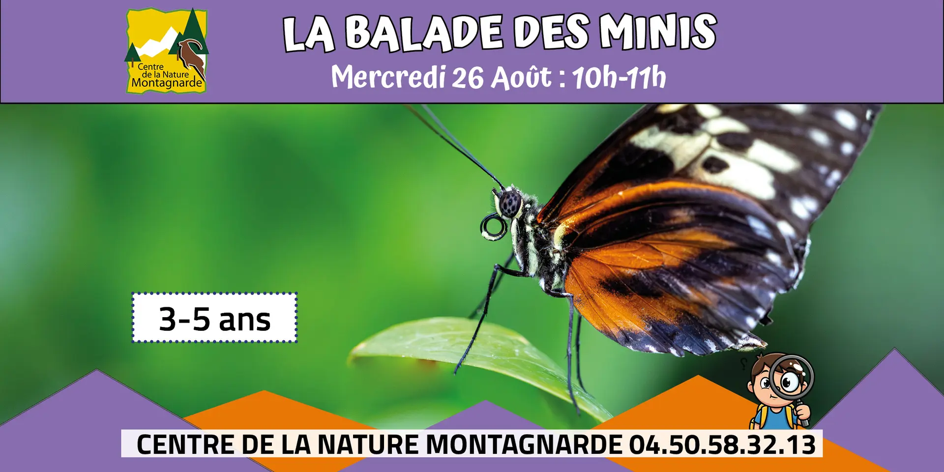 Mini papillon