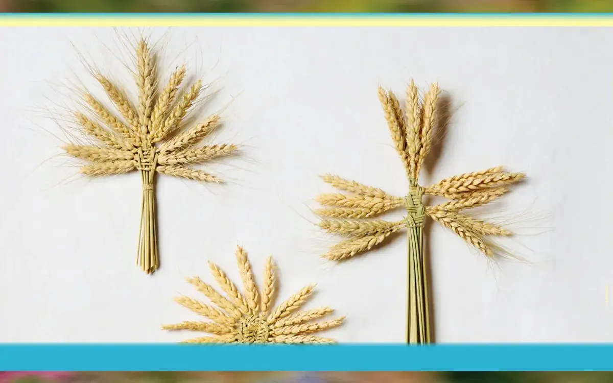 épis de blés tressés