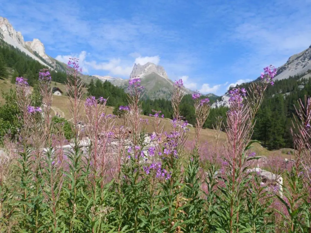 Patrimoine Naturel des Hautes Alpes