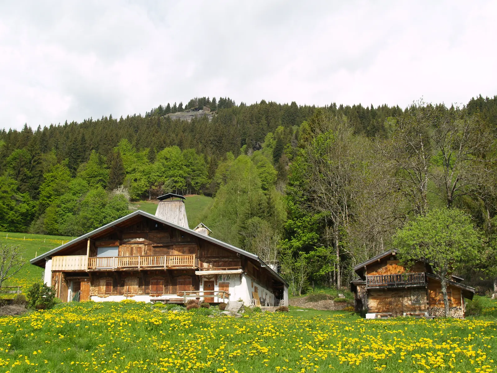 Chalet