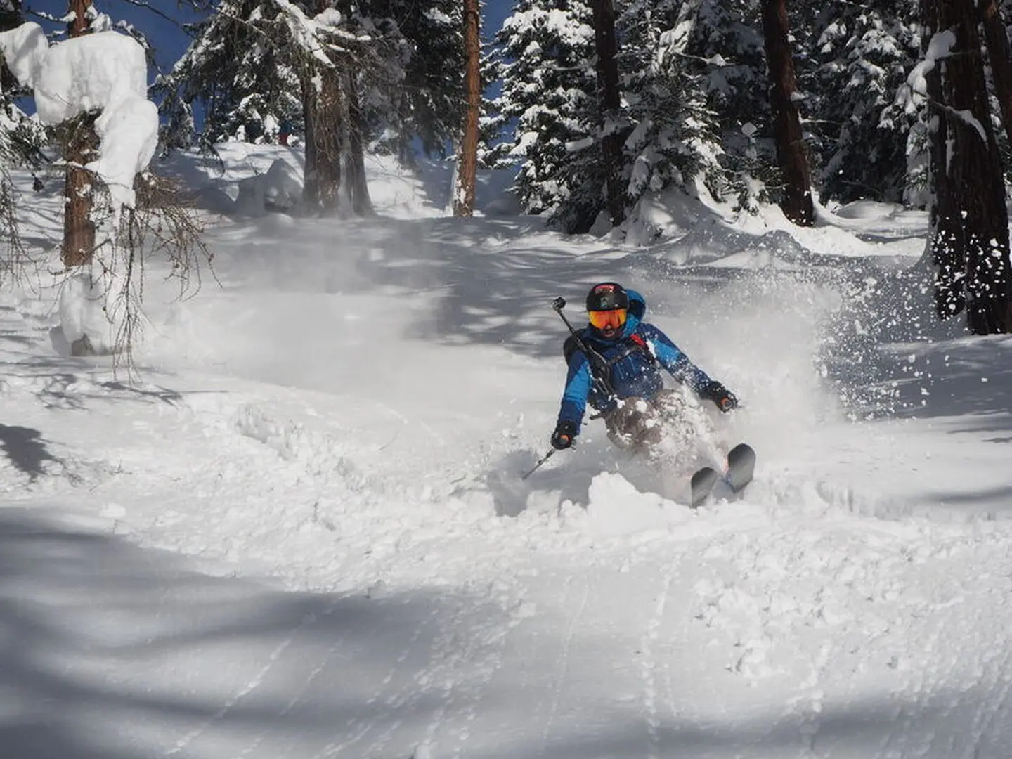 skieur parmi les sapins