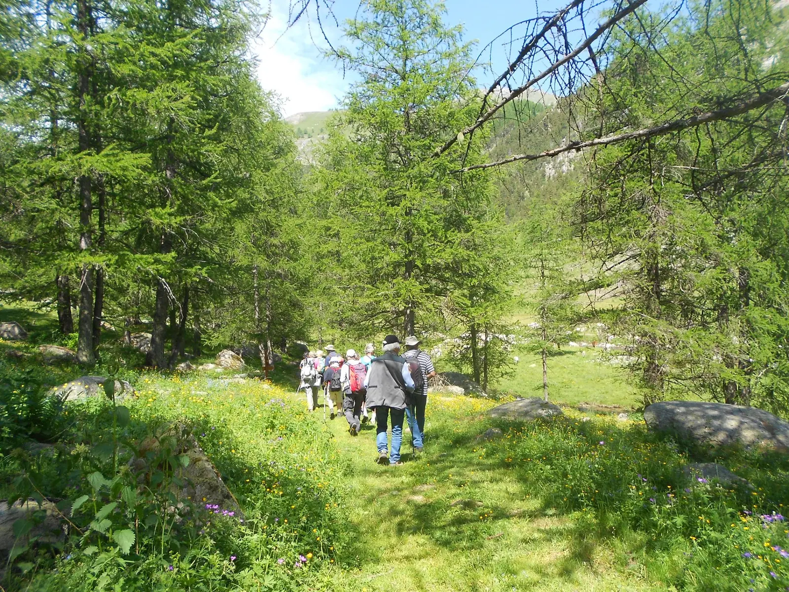 Randonnée conviviale en groupe