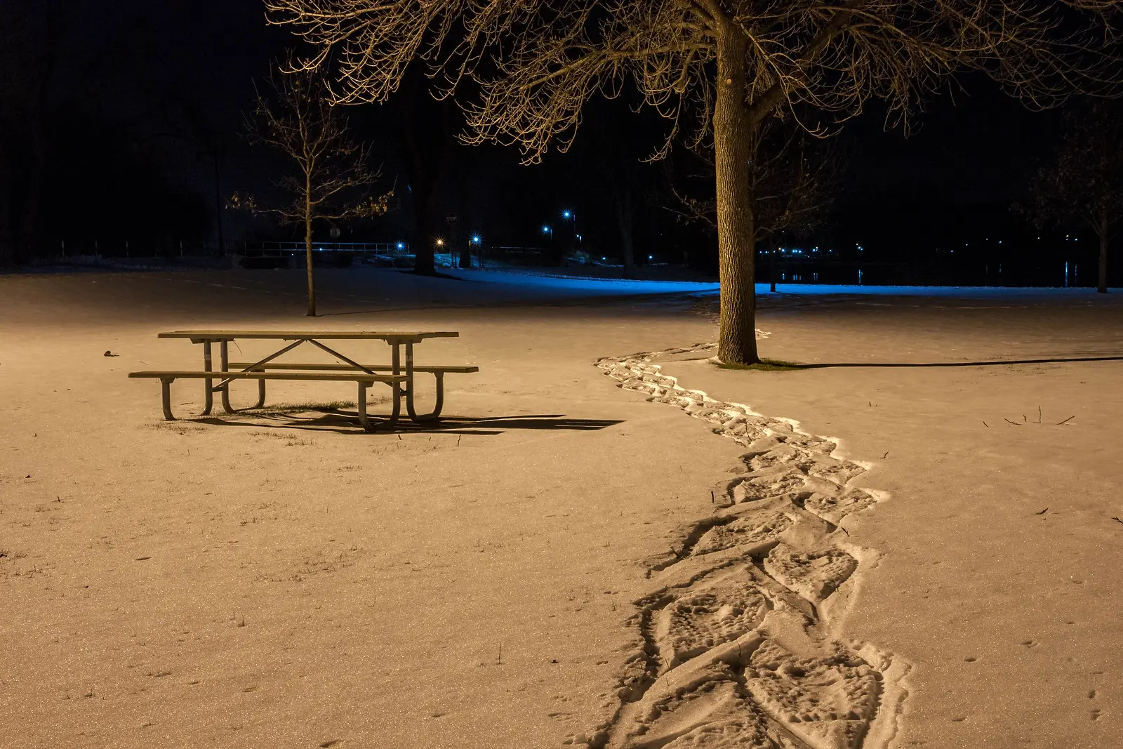 Nocturne en raquettes