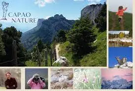 Decouverte nature et montagne