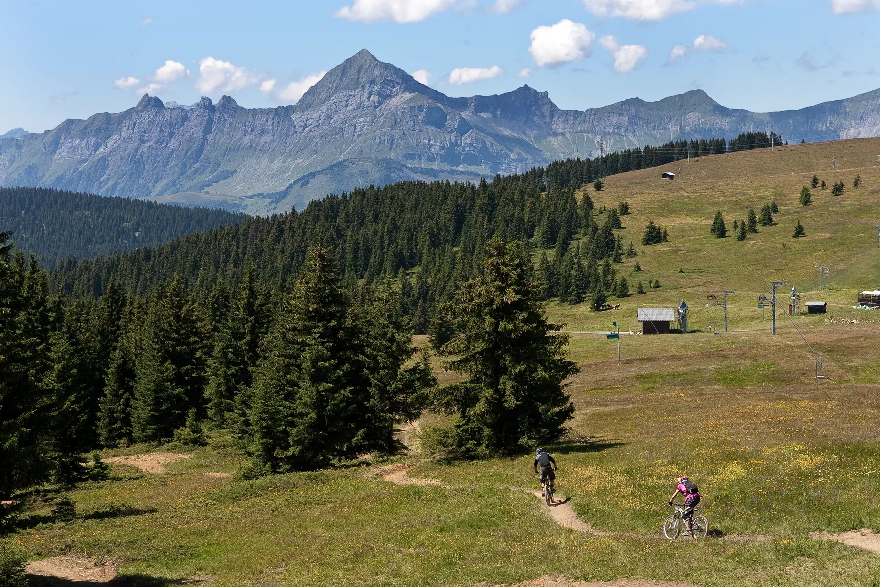 DH VTT - La Coyote