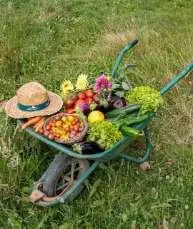 Fruits et Légumes