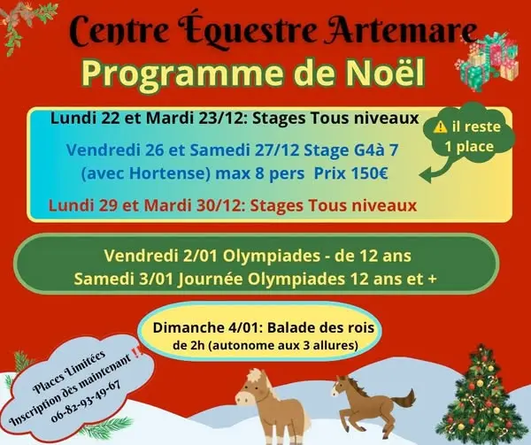 Stages des vacances de Noël au centre équestre d'Artemare_Artemare