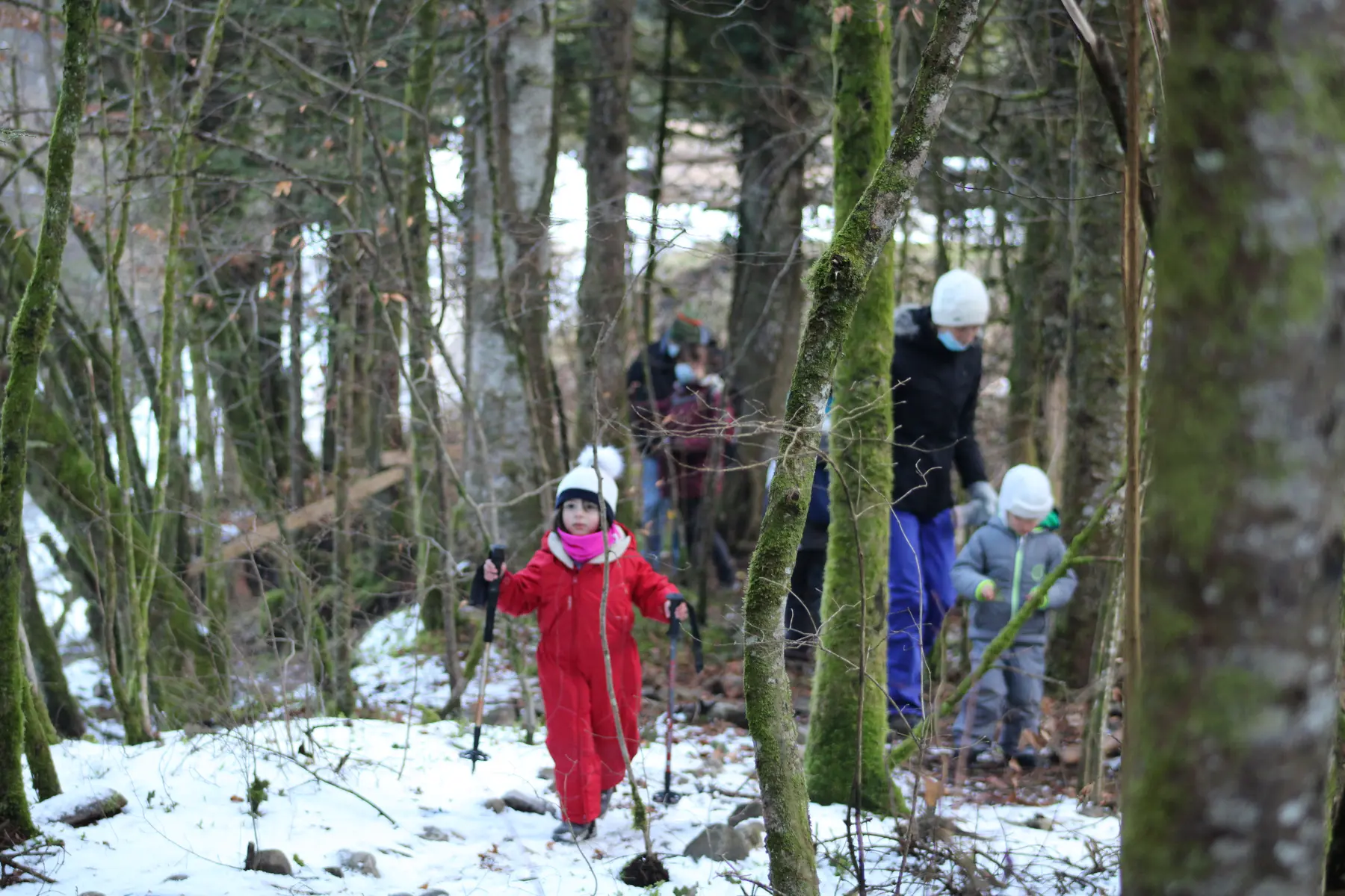 Atelier nature - Ecomusée du Bois - Thônes - Activités
