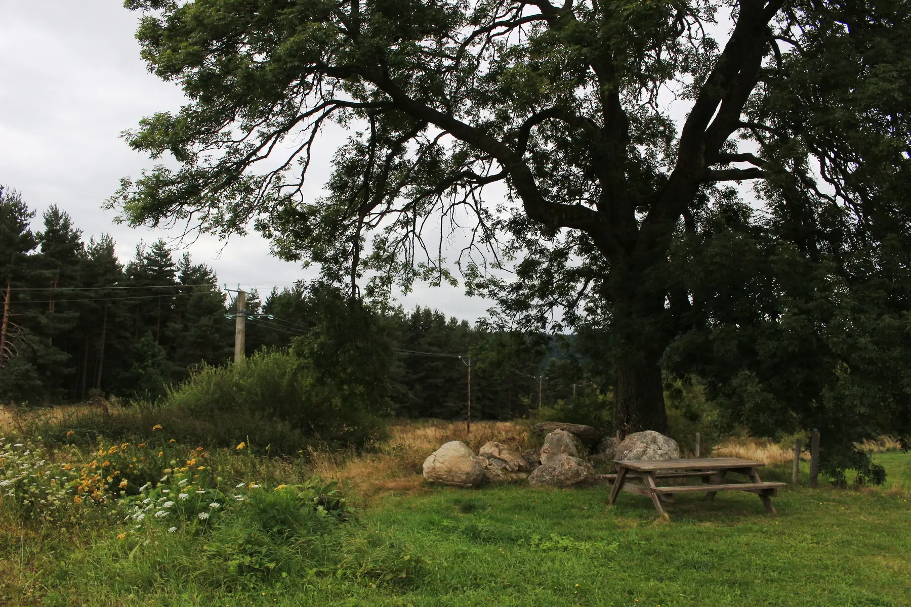 Vers le sentier du marais