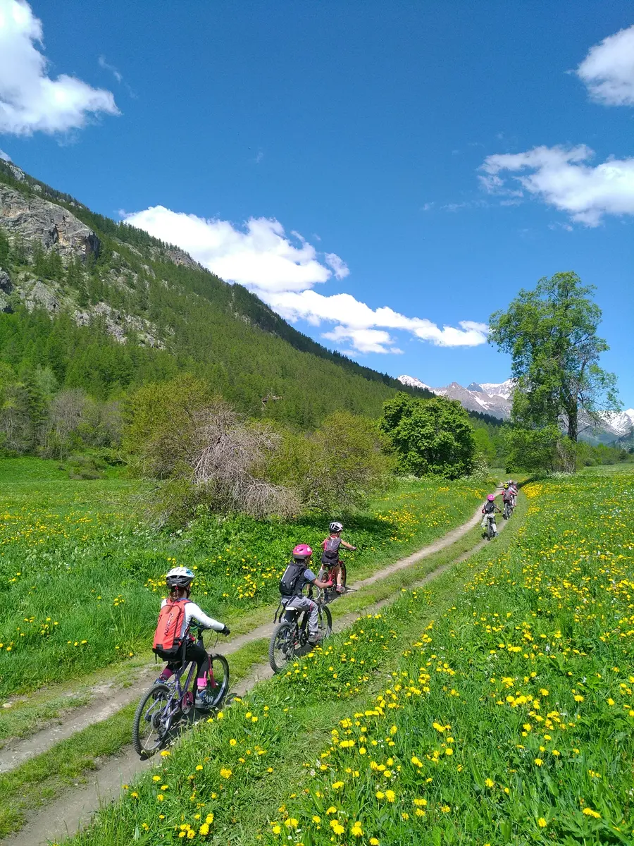 Balade à travers les champs de la Guisane