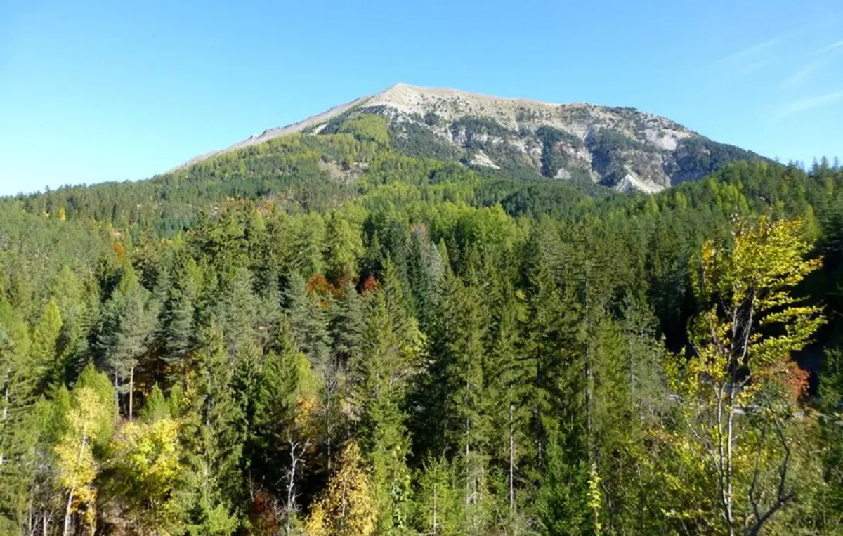 Le_vernet_forêt_du_labouret