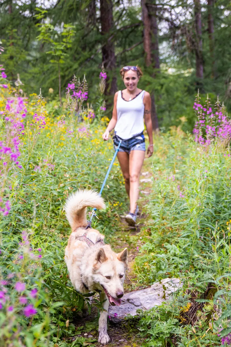 mushing addict