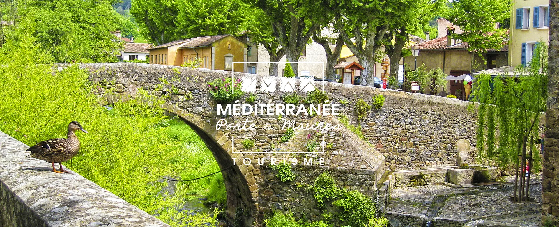 Les Châtaigne en méditerranée Porte des Maures