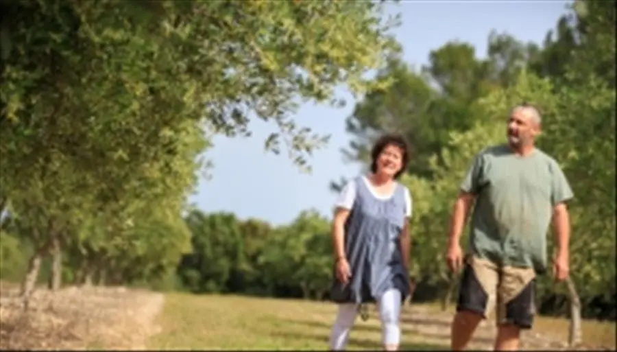 Oliveraie des Aumèdes