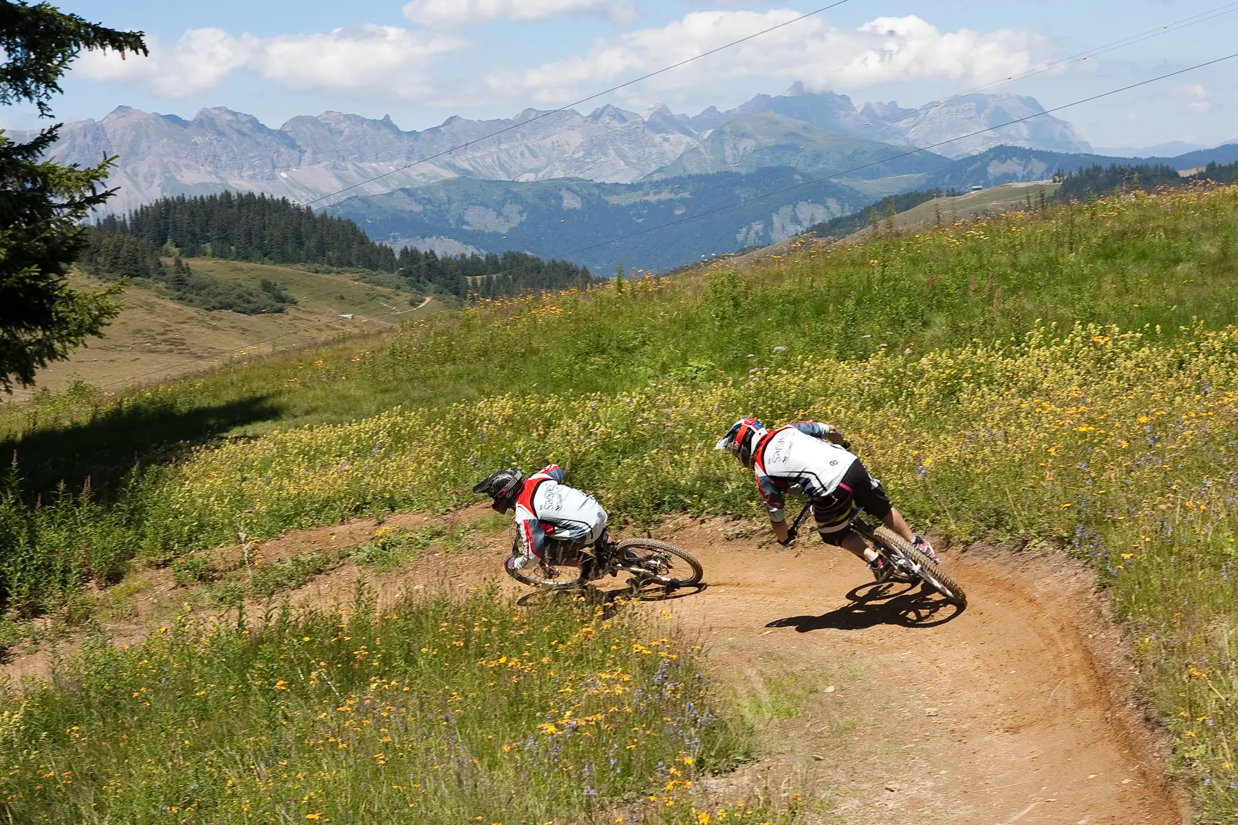 DH VTT La Cornifle
