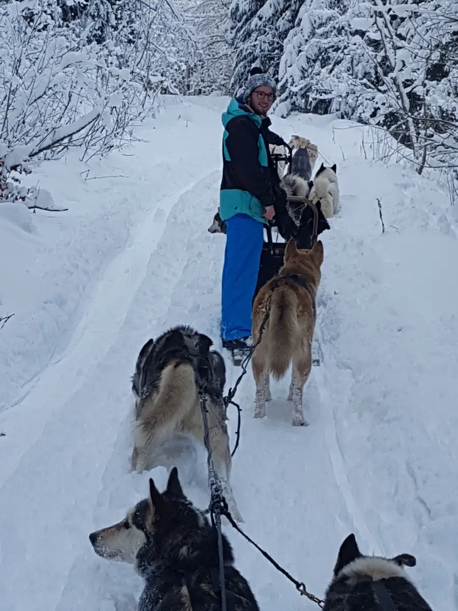 Chiens de traîneaux - traîneaux Passion