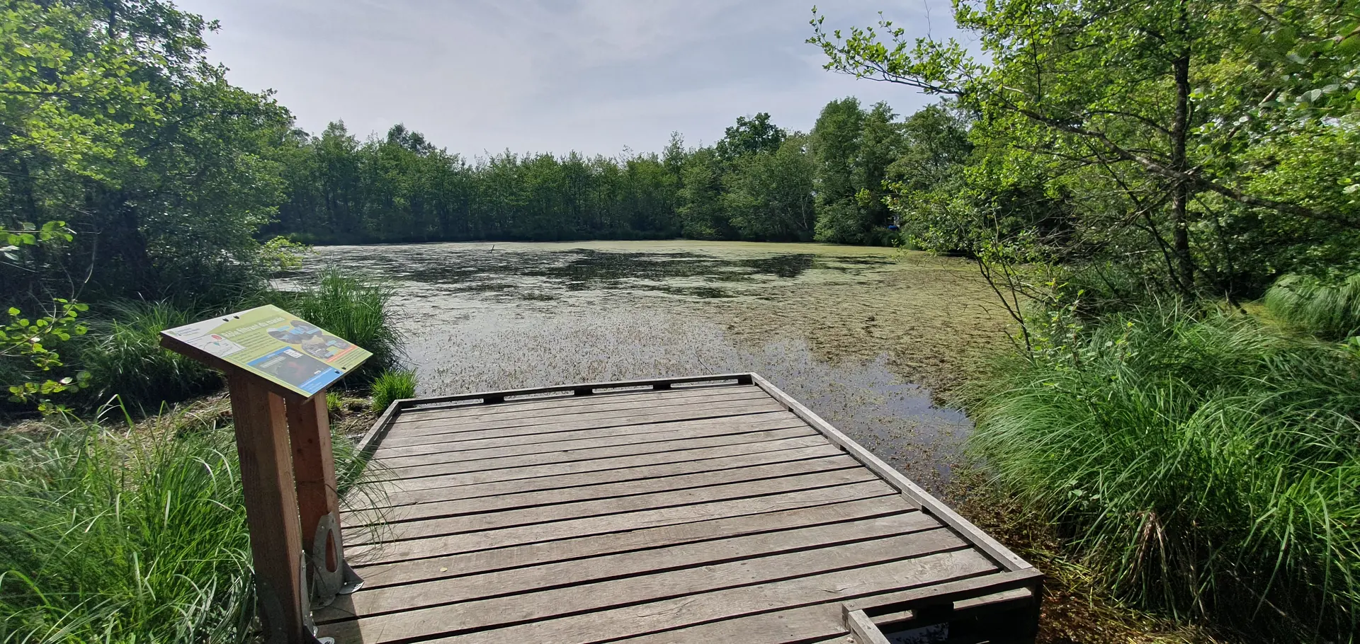Etang de Bizadan