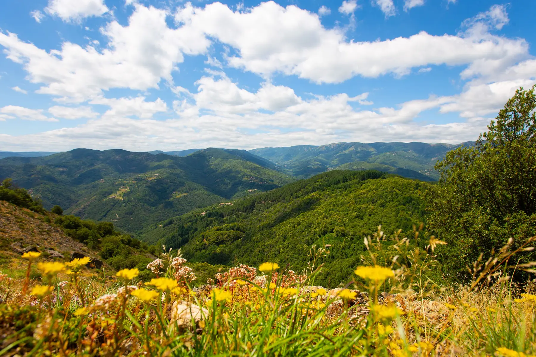 Vue sur les Monts d'Ardèche