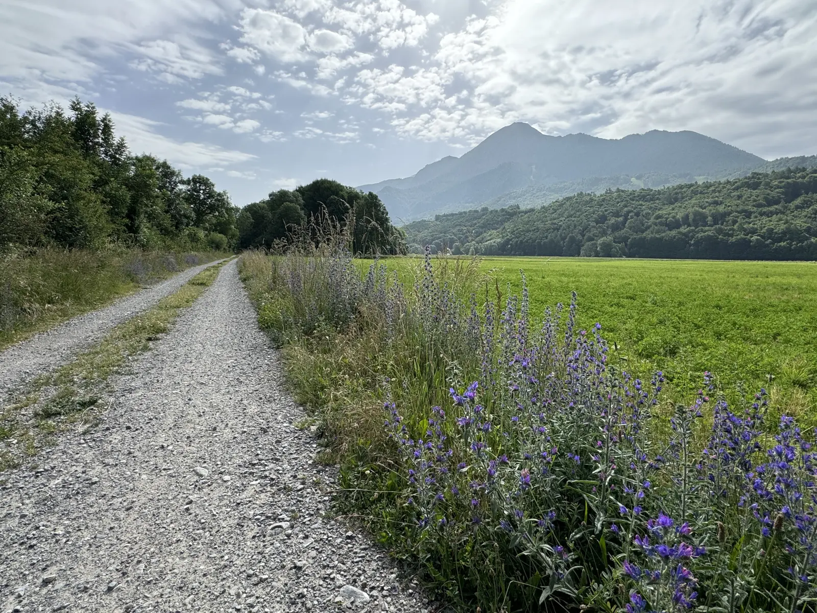 Plaine et canal, Chabottes