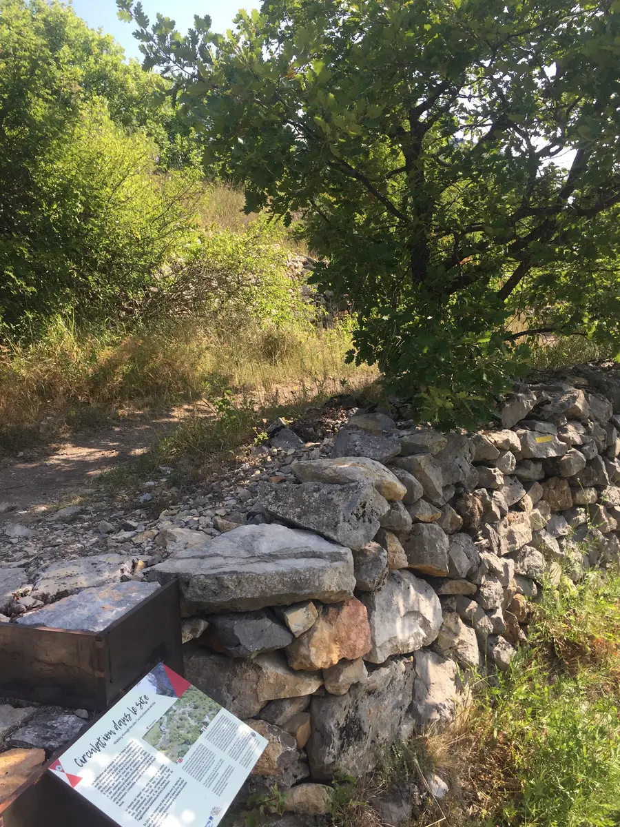 Circulation dans le site