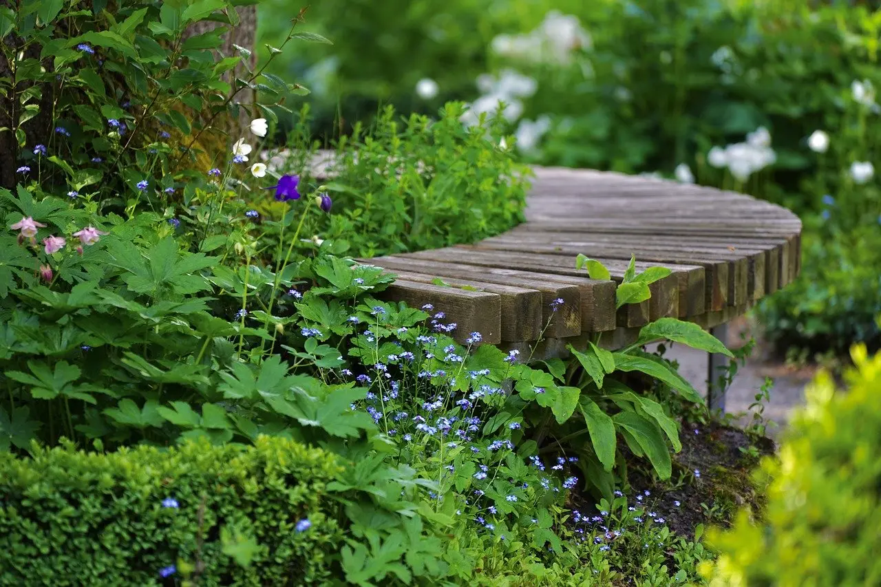Banc dans un parc