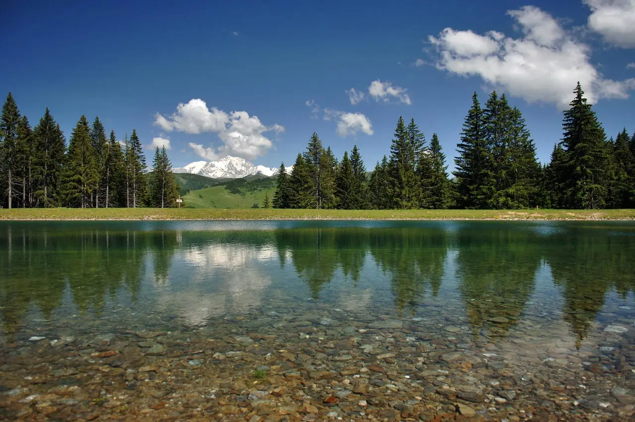 Plan d'eau du Mont Lachat - Site de pèche