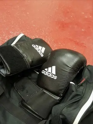Mondial Boxing Marseille