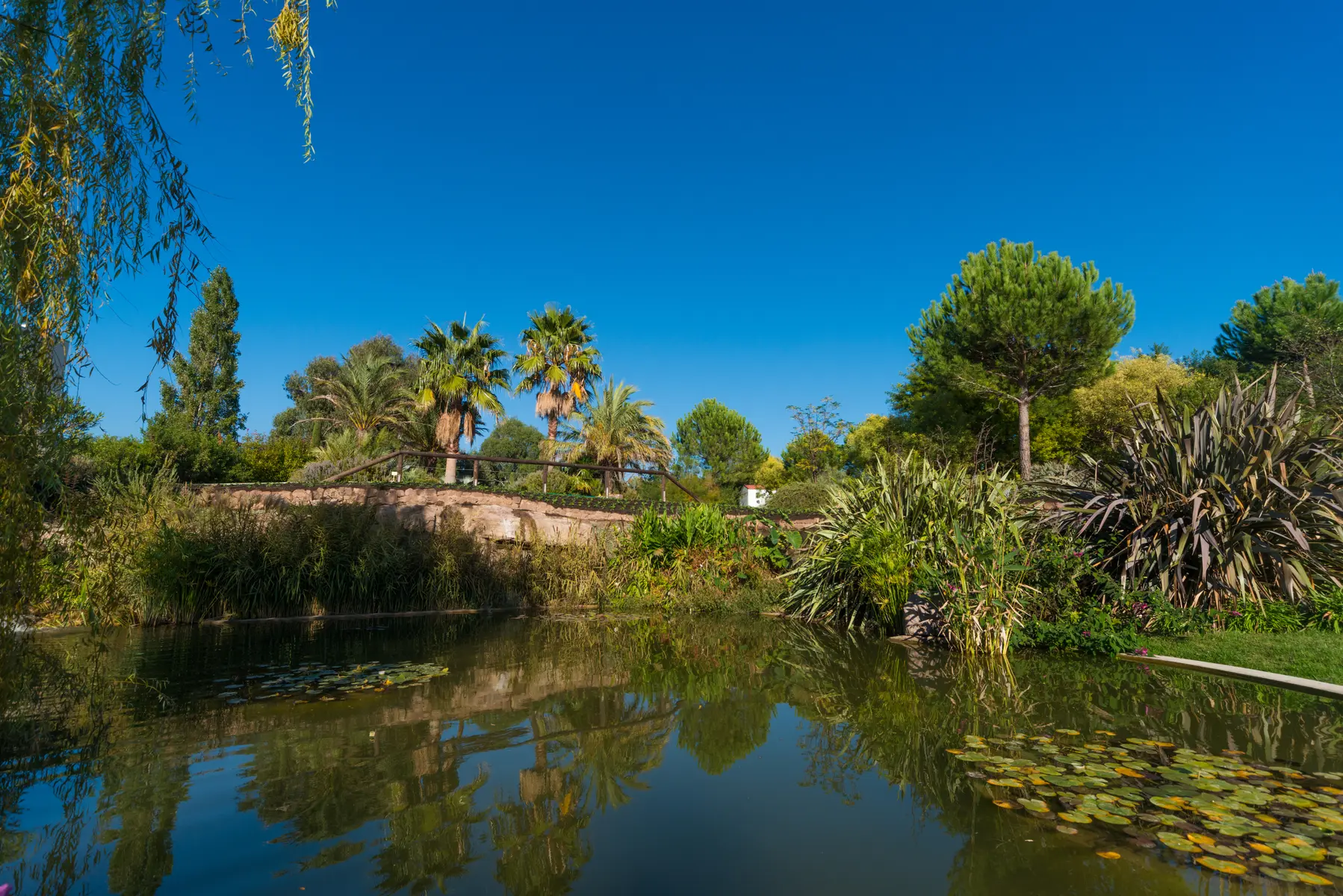 Jardin de l'Île Verte